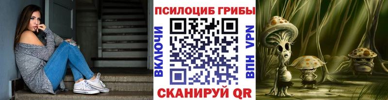 Галлюциногенные грибы Psilocybine cubensis  Шенкурск 